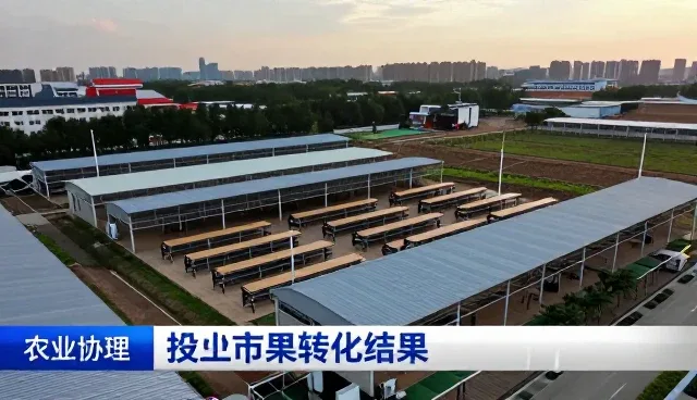 技术转让如何提升业务效率与运营能力